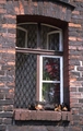 www.zabrze.aplus.pl